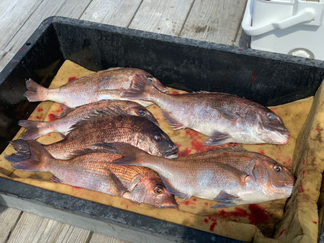 海上釣堀🎣