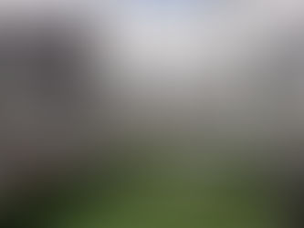 しまお、奮闘中です。