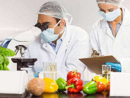 GIDA GÜVENLİĞİ NEDİR? KALİTENİN GIDA GÜVENLİĞİNDEKİ YERİ VE ÖNEMİ