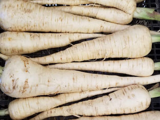 From the Garden this Week…