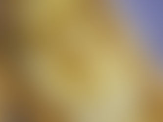 From the Garden This Week…