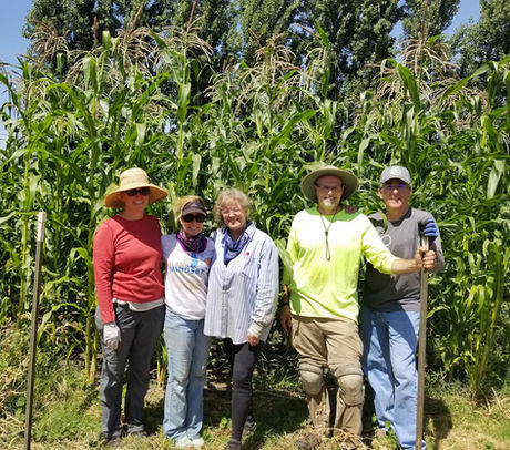 From the Garden this Week…