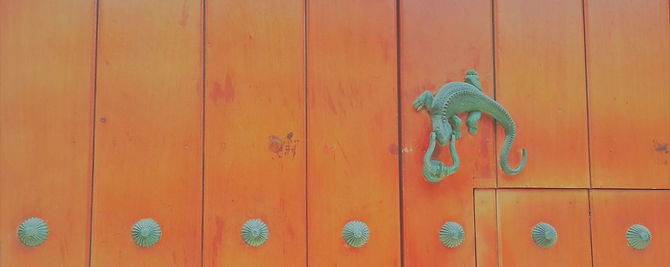 Traditional door knocker in Cartagena's old city.