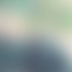 Writing // An Update