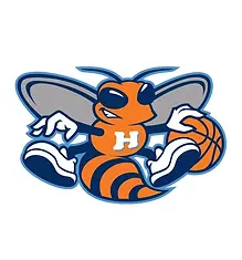 recolored-the-hornets-logo-with-charlotte-colors-what-do-v0-Qpi8nr3AeiicNMIsFMHwn5n0wLXxMG