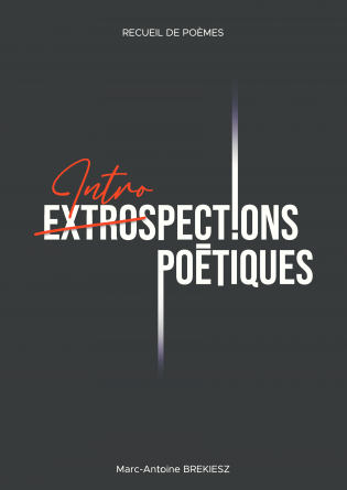 extrospections-poetiques.jpg.png