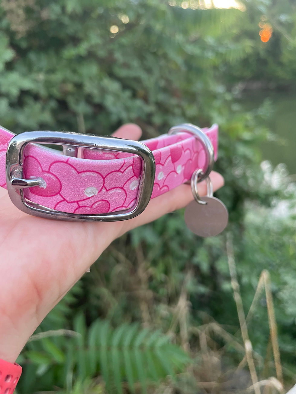 Miniature : Collier réglable en biothane imprimée - 2 largeurs - Coeurs