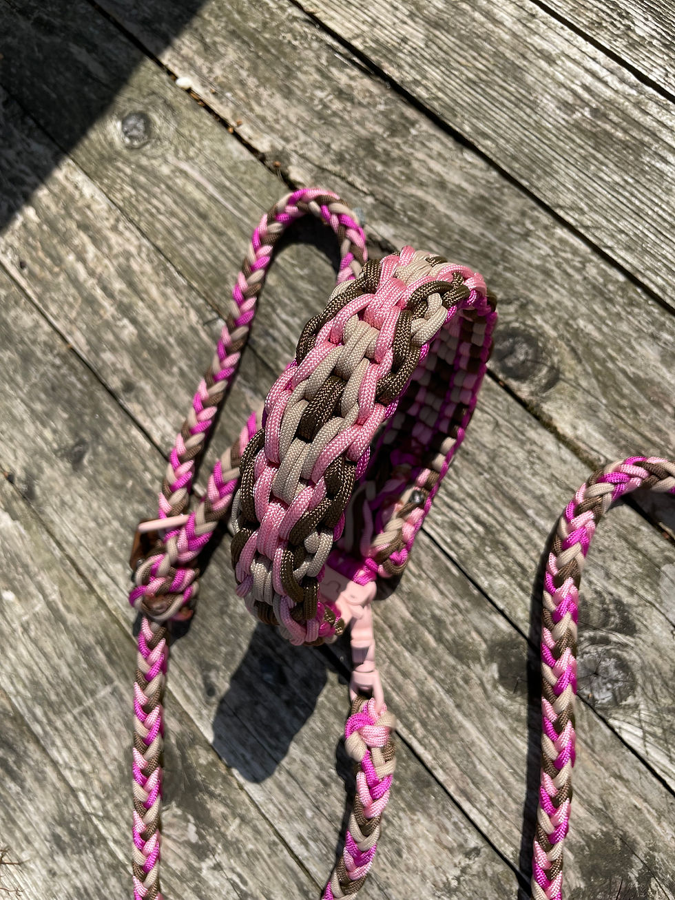 Miniature : Laisse et collier en paracorde pour chien rose, marron et beige