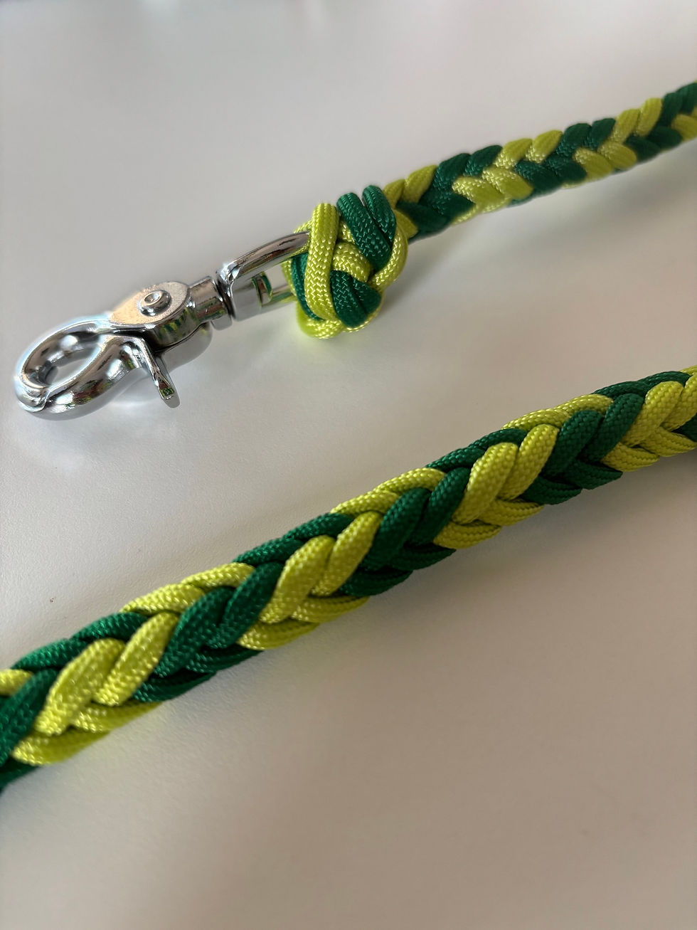 Miniature : Laisse de 2 mètres en paracorde pour chien Bicolore vert