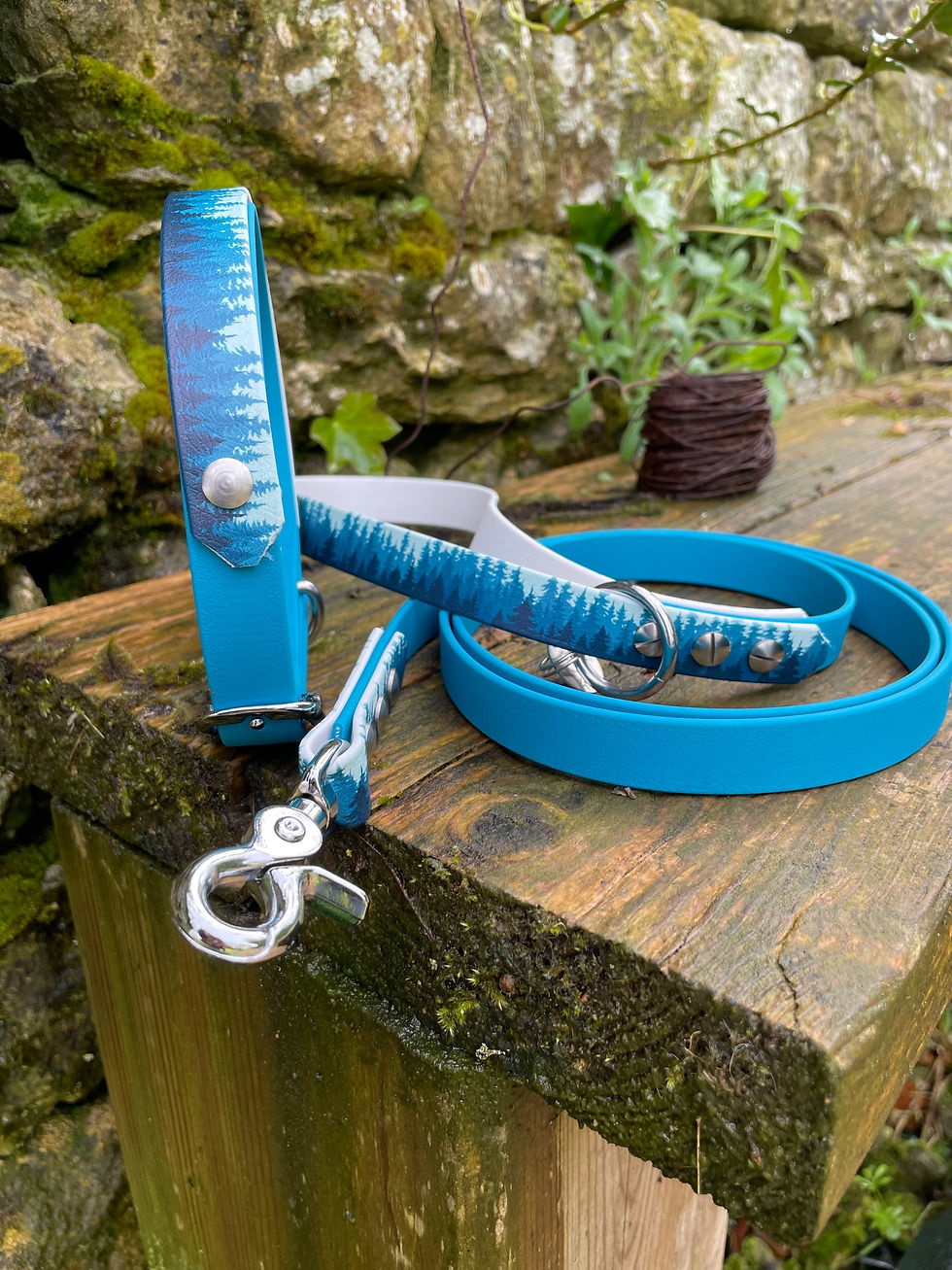 Miniature : Ensemble collier et laisse en biothane uni et biothane imprimé - motif foret