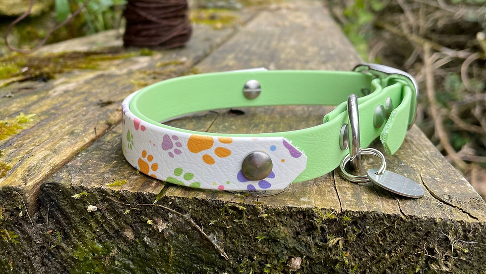 Miniature : Ensemble collier et laisse en biothane uni et biothane imprimé - motif papattes