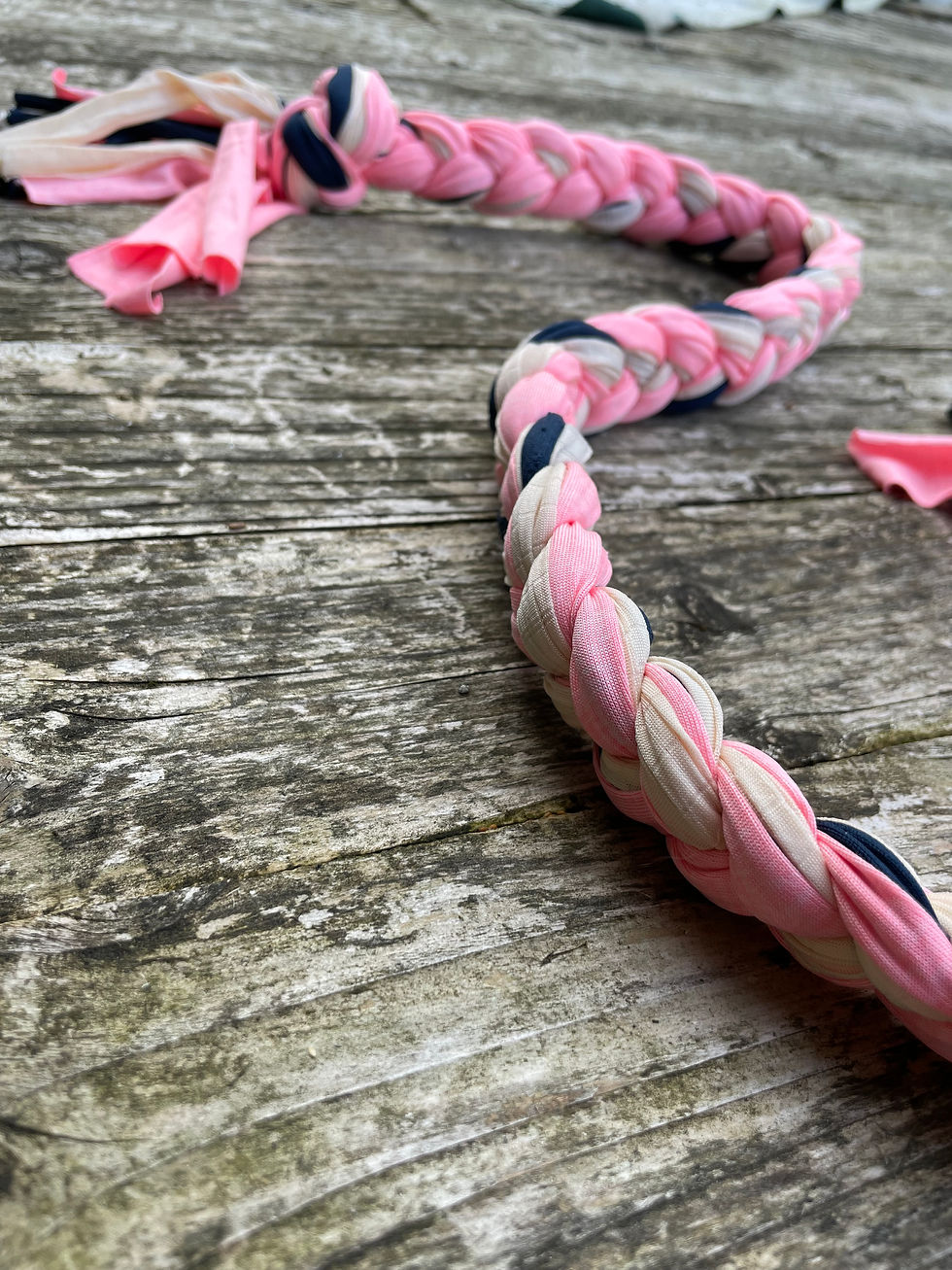 Miniature : Kit chiot - Tug tresse multi fils, jouet pour chiens et chiots