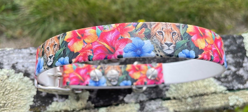 Miniature : Collier réglable en biothane imprimée - 2 largeurs - Guépard