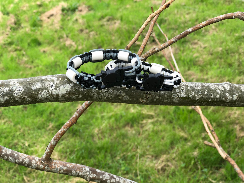 Miniature : Collier  anti tiques naturel avec perles céramiques EM