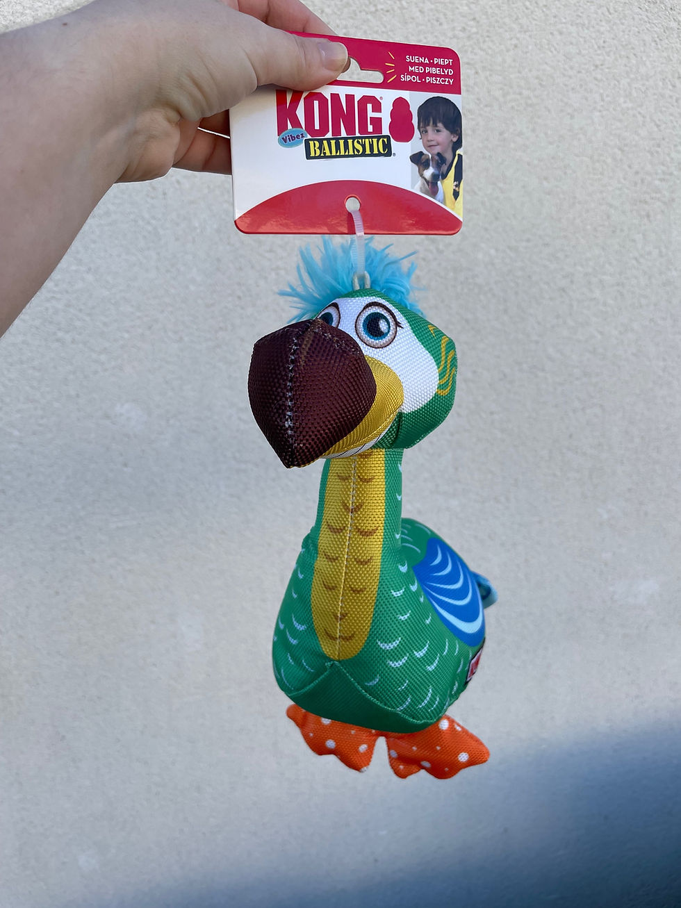 Miniature : Jouet KONG Ballistic Vibez Dodo  pour chien et chiot