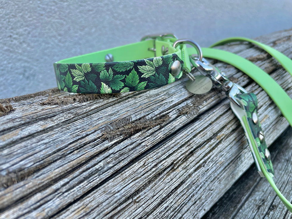 Miniature : Ensemble collier et laisse en biothane uni et biothane imprimé - motif feuillage