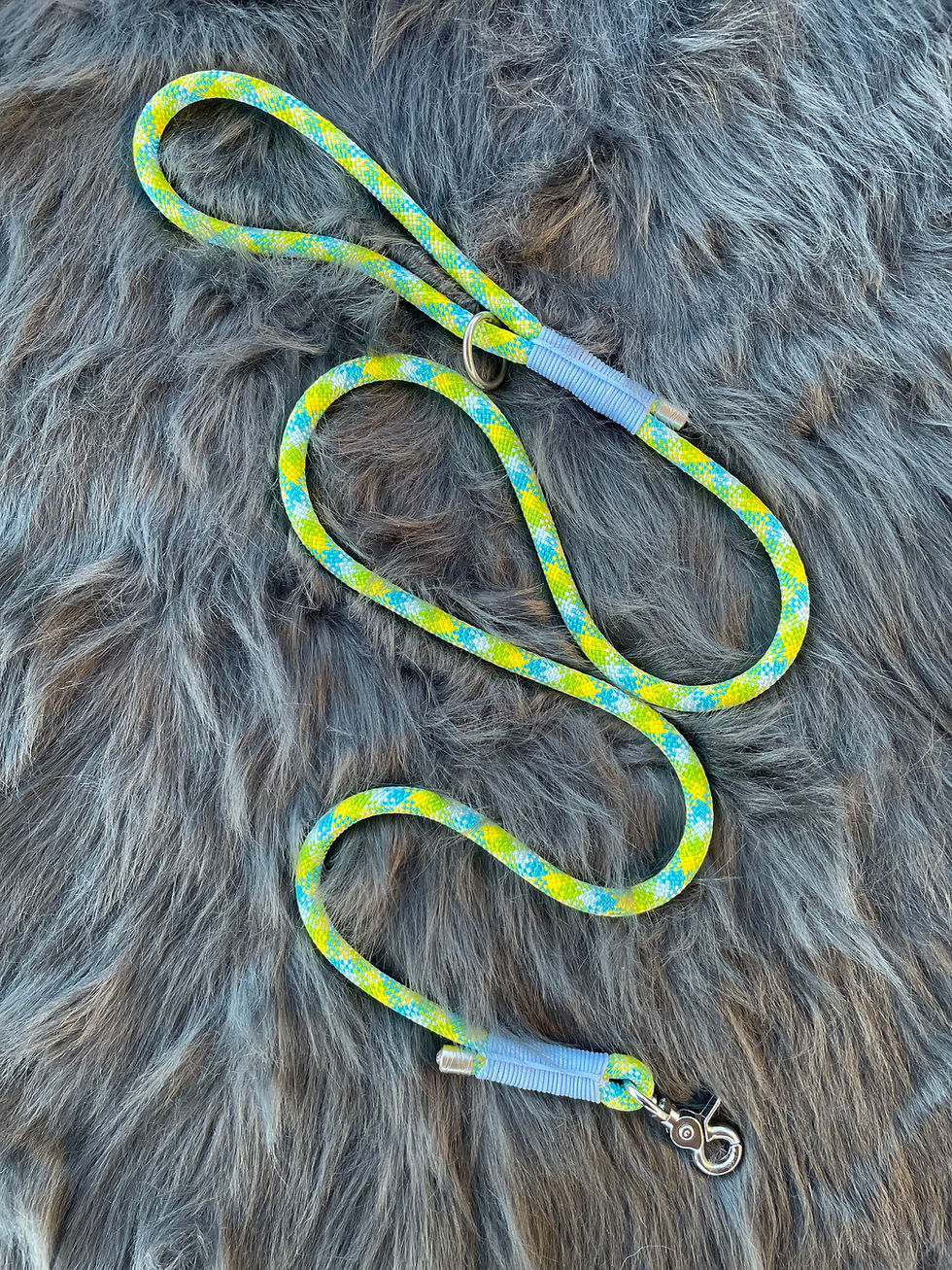 Miniature : Laisse pour kit chiot -lot de laisses 1.5m