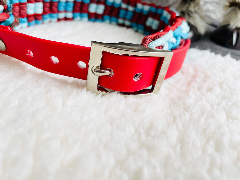 Miniature : Ensemble Laisse & Collier (36 à 41 cm)