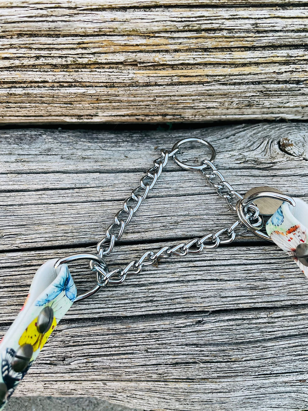 Miniature : Ensemble collier et laisse en biothane uni et imprimé + paracorde