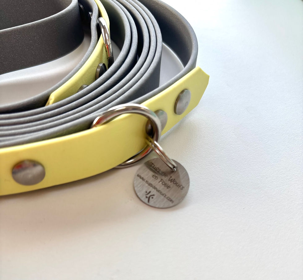 Miniature : Laisse 3 points argent et jaune banane  en biothane pour chien 19 mm -