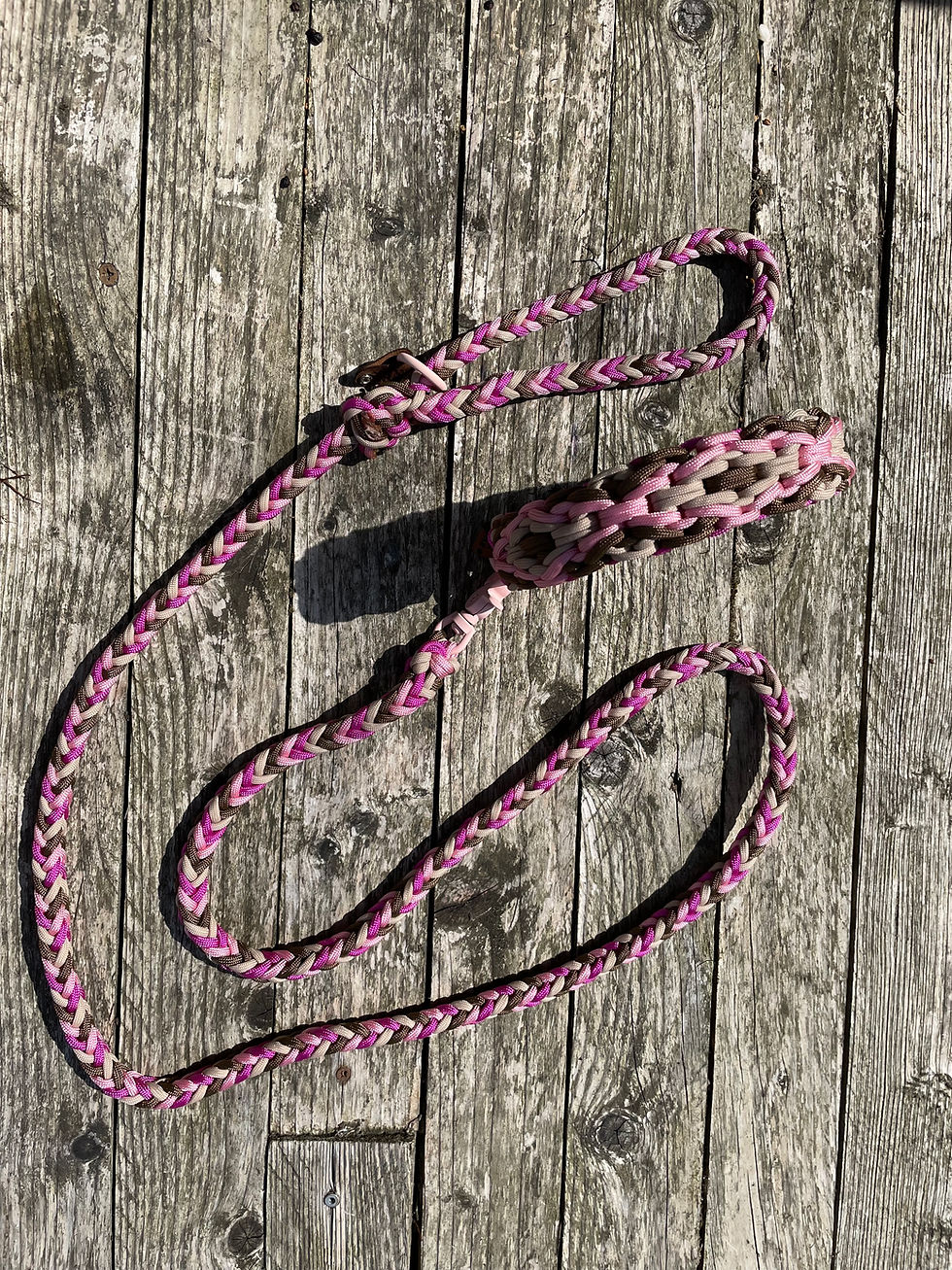 Miniature : Laisse et collier en paracorde pour chien rose, marron et beige