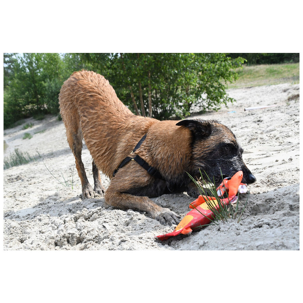Miniature : Jouet résistant Hozies Jeffrey Jungle pour chien et chiot