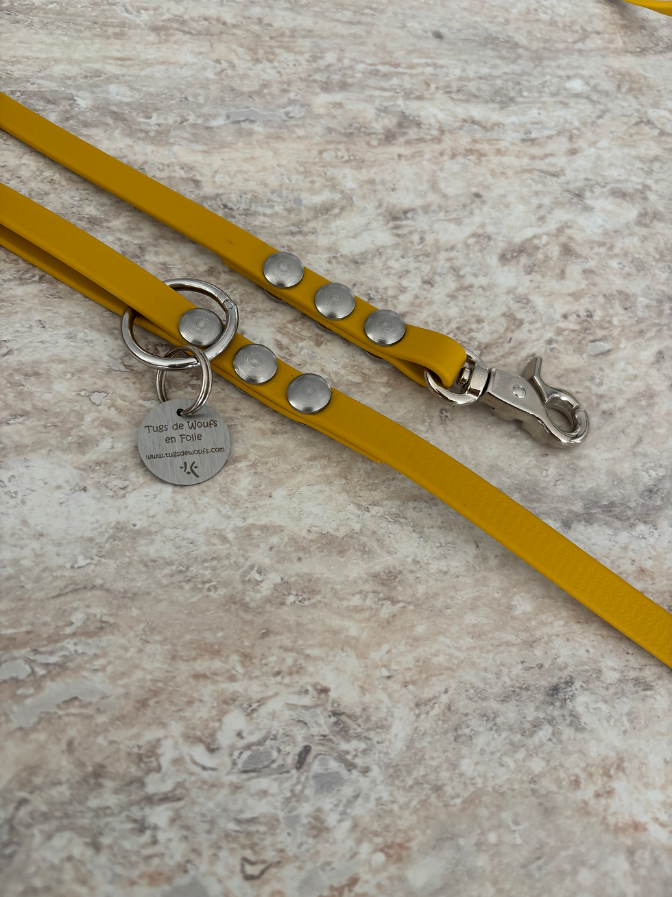 Miniature : Laisse Moutarde  en biothane pour chien 9 mm - 1.5m ou 3 m au choix