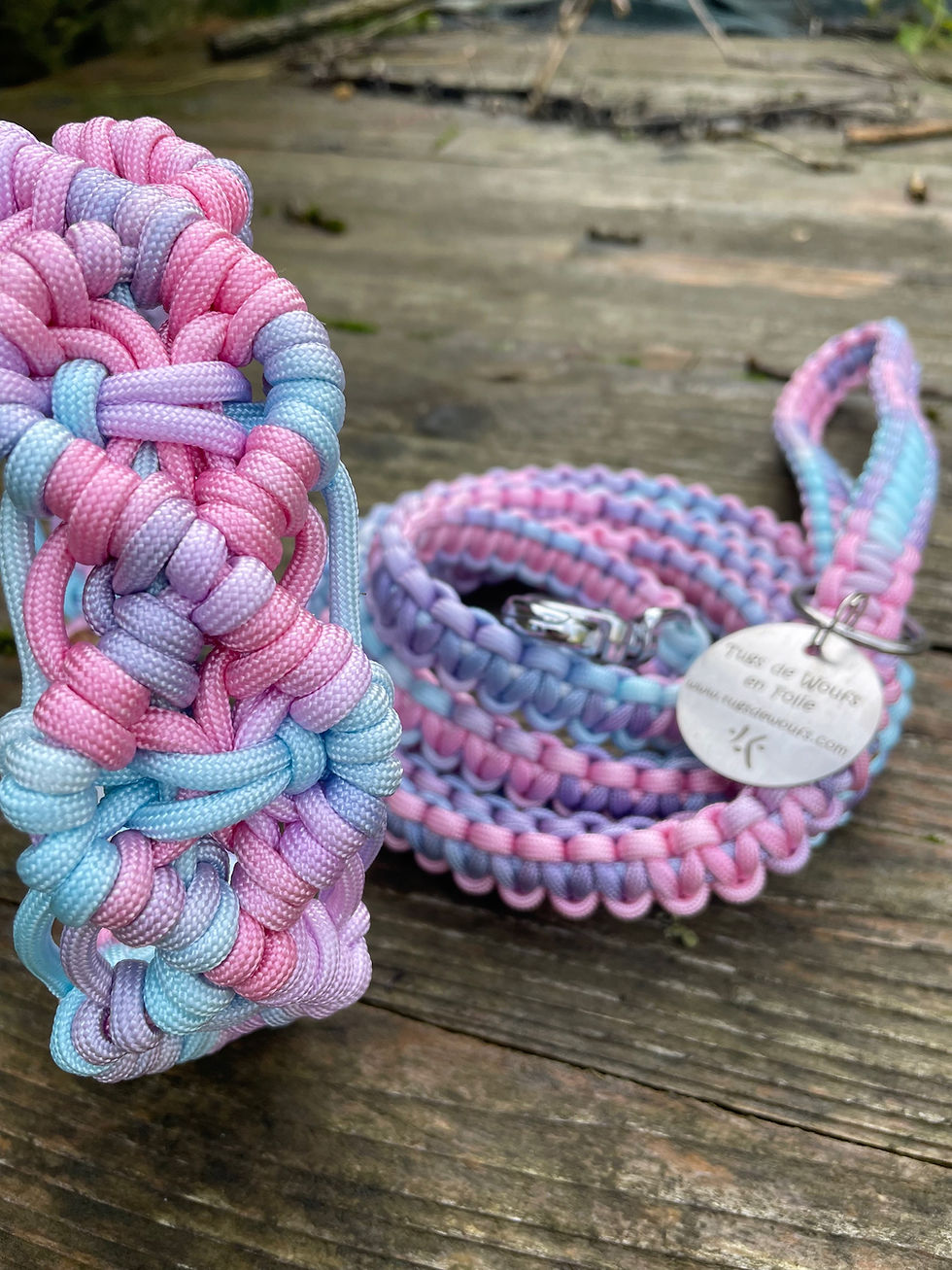 Miniature : Laisse et collier en paracorde pour chien "Licorne"