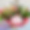 Thumbnail: Florist Choice - Just Tied