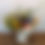 Thumbnail: Florist Choice - In Water