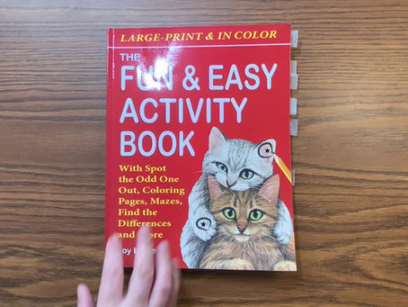 New Book Video: The Fun & Easy Activity Book