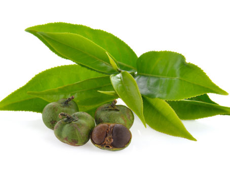 L-Theanine