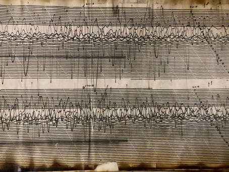 “Herencia Sísmica”: exposición sobre terremotos y tsunamis en Chile reúne obras inéditas de seis artistas nacionales y objetos sismológicos nunca antes exhibidos
