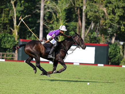 Polo and Regattas: Traditions of Influence