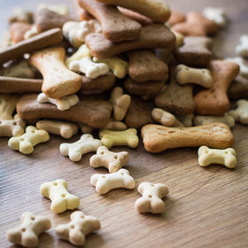 dog treats.jpeg
