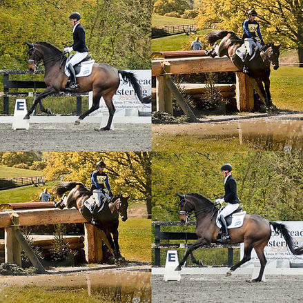 CASEY MCKENNA COLLAGE.jpg