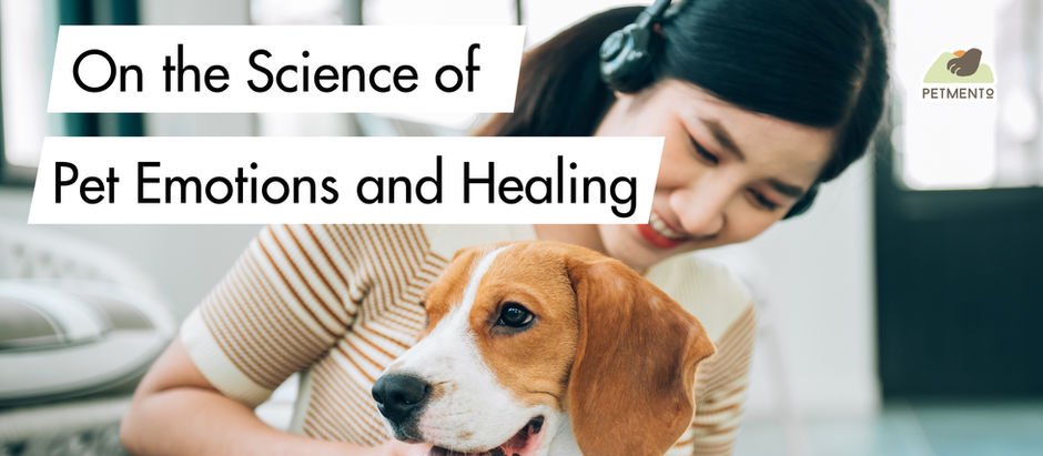 On the Science of Pet Emotions and Healing