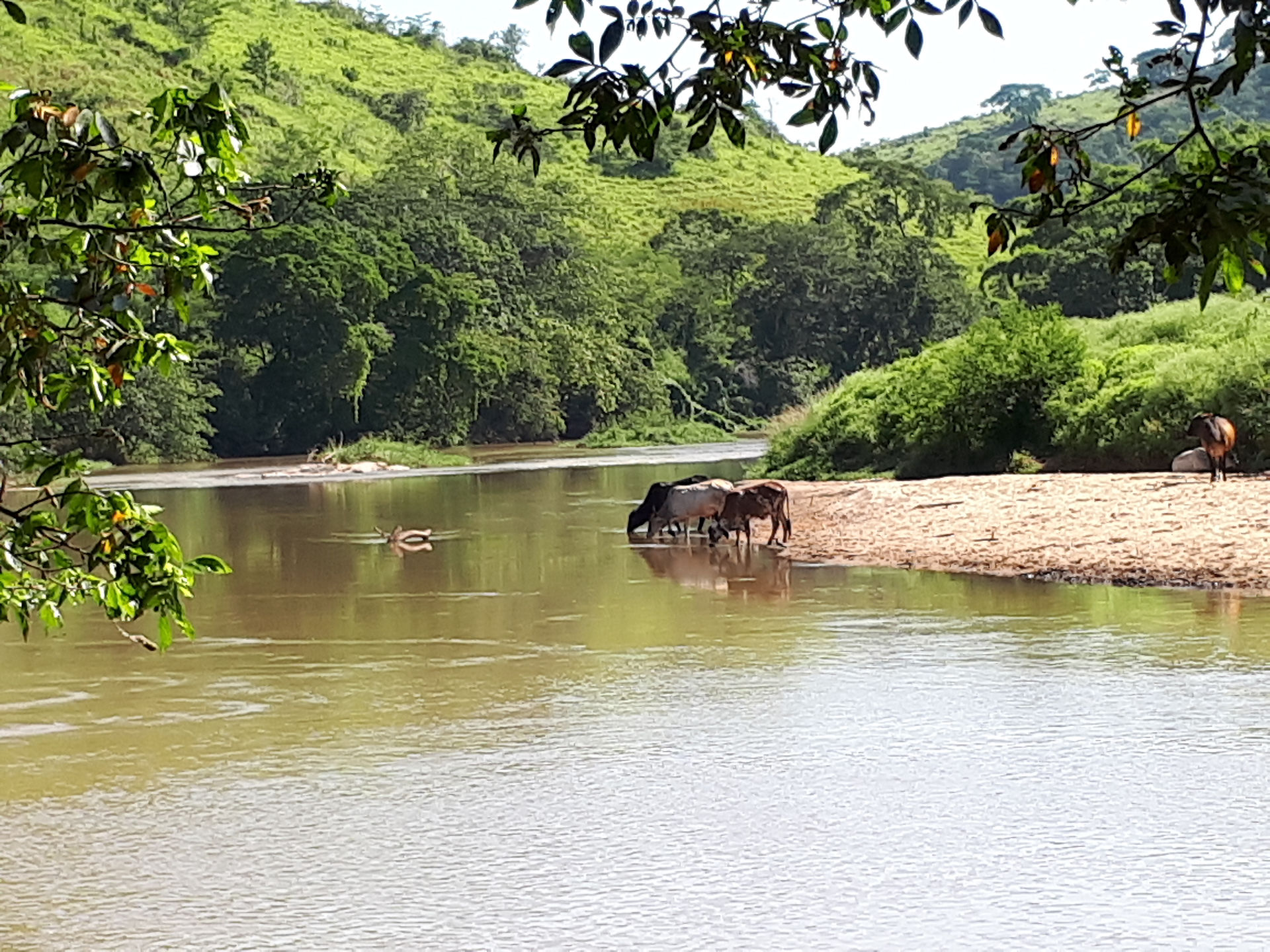 Rio Grande com Negro 