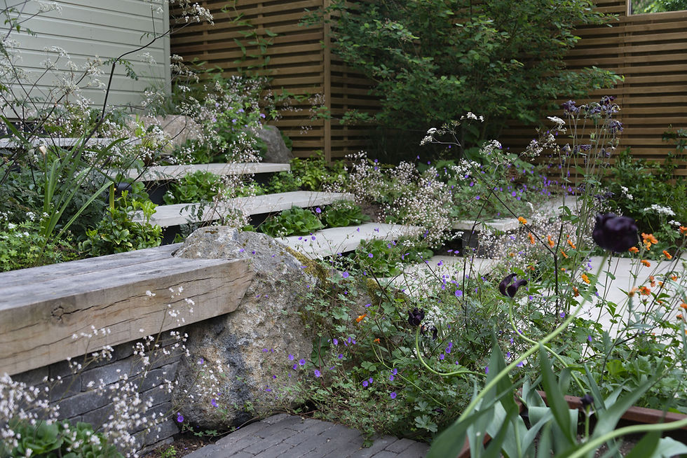 Epsom-townhouse-garden-stairs-and-boulder-2.jpg