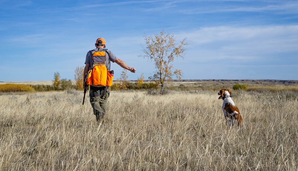 Bird Hunter and Dog
