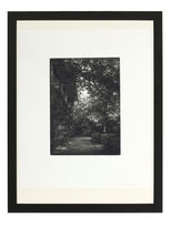 aquatint by Stefanie Hofer