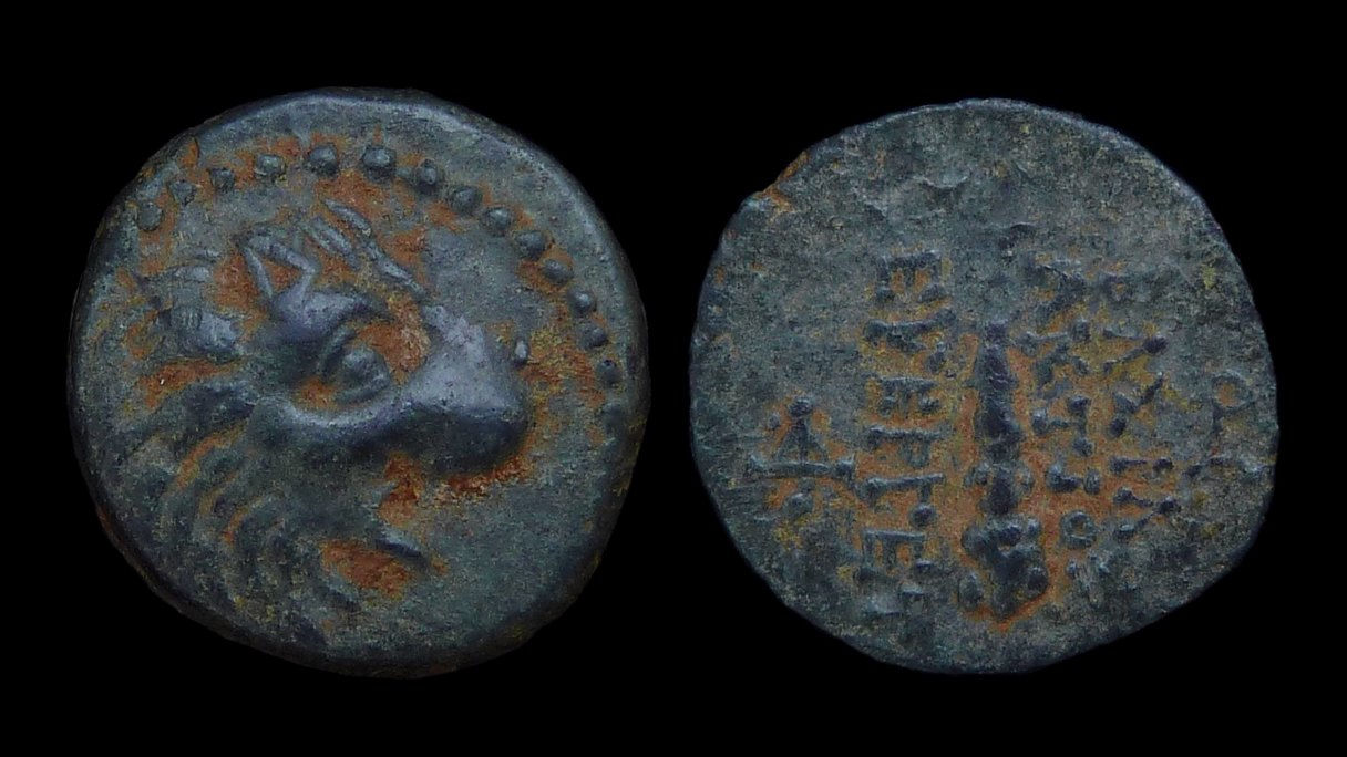 SELEUKID KINGDOM . Antiochos VII Sidetes, 138-129 BC . AE15 . Lion's Head