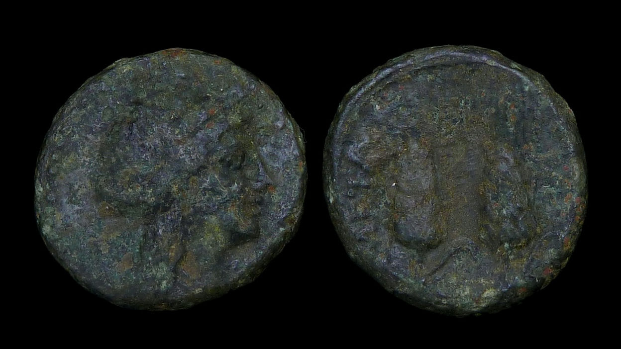 LUCANIA, Metapontion . after 280 BC . AE16 . Ears of Barley