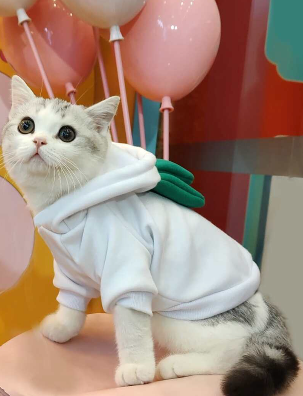 Pull à capuche avec oreilles