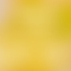 四条烏丸店10周年記念