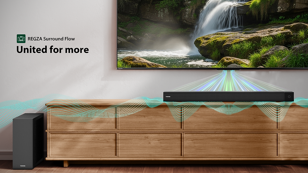 REGZA Surround Flow