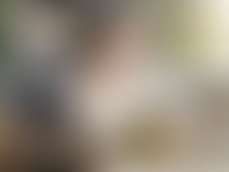 たった一度の食べ過ぎで、自分を「続かない人」と決めつけないで。必要なのは反省より、次の一食の選び直しです