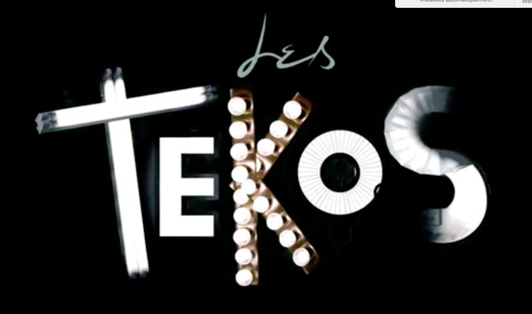 "Les Tekos"( Web série 2015)