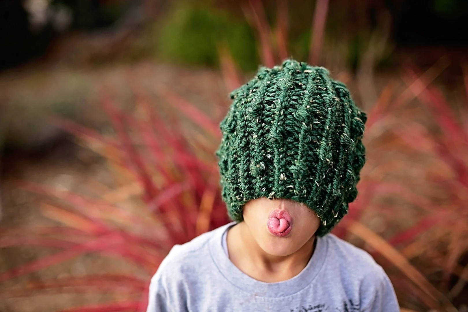 Knit Prickly Beanie Pattern