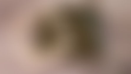 How to Knit & Measure a Gauge Swatch